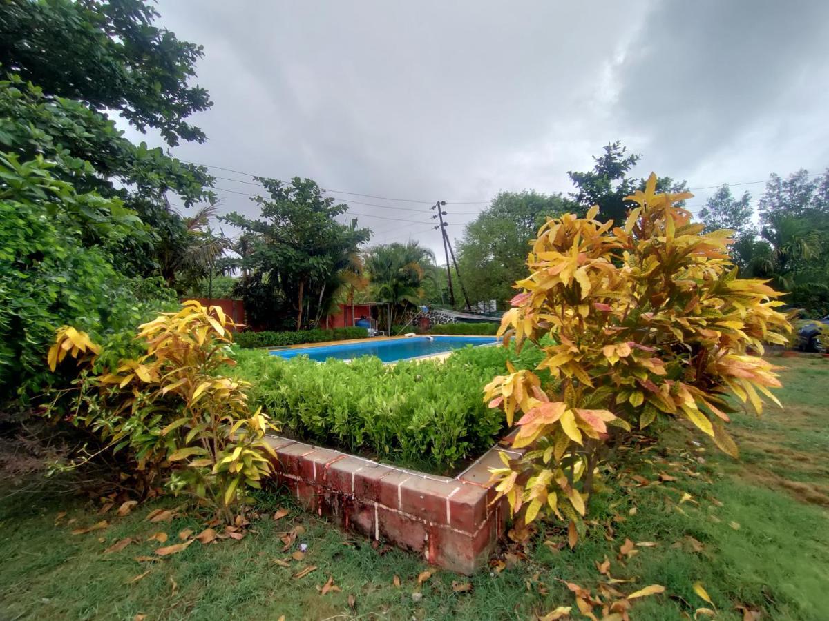 Opulence Resort Awas Alibaug อลีบาก ภายนอก รูปภาพ